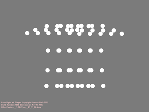 Screen Capture of the final stimuli